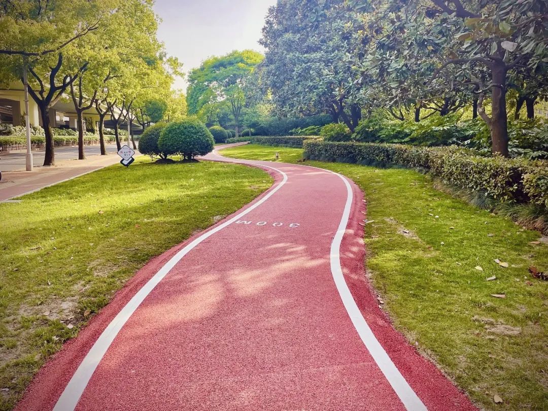 智慧体育公园解决方案的社会价值(图1)